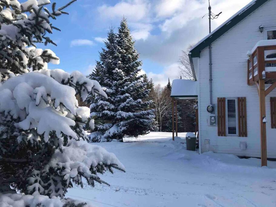 Le Jazz- Chalet Rustique/Chic Avec Spa Notre-Dame-Des-Bois Buitenkant foto